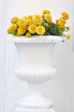 White Modern Flower-pot With Yellow Flowers