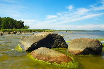 Poster - rocks in the sea.