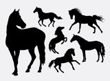 Fototapeta Konie - Horse silhouettes