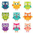 Isolated cartoon owls collection