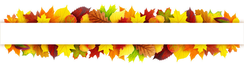 Wall Mural - colorful autumn leaves banner