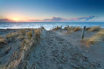 Wall Mural - sand path to North sea beach at sunset