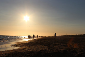 Wall Mural - sunset in beach