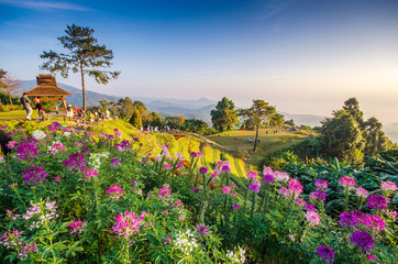 Wall Mural - A beautiful sunrise at viewpoint of huay nam dung national park