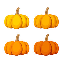 Set Of Four Pumpkins Isolated On A White Background. Vector.