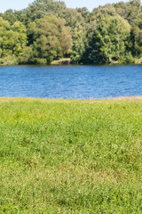 Canvas Print - green grass on riverbank in summer day