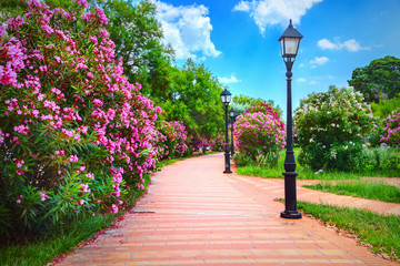city park