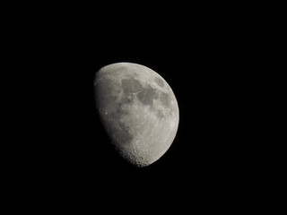 Wall Mural - gibbous moon