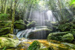 canvas print picture - Waterfall with sunbeam in rainforest.