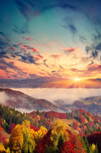 Colorful Autumn Sunset In The Foggy Mountains.