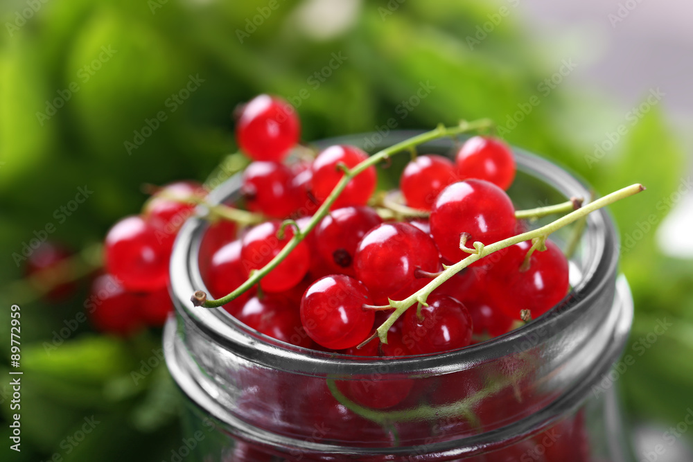 Fresh red currants in jar with mint close up