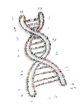  People Shape  DNA Medicine