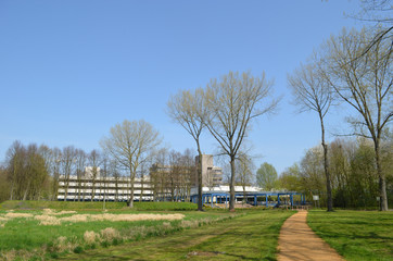 small path in green grass field