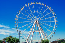 Giant Ferris Wheel In Park