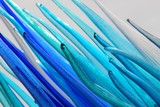Fototapeta Miasta - Detailled view of blue glass tubes with white background