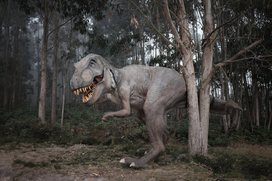 Fototapete - Tyrannosaurus Rex (T-Rex) im Nebel
