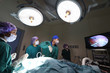 © nimon_t - group of veterinarian doctor in operation room for laparoscopic surgical