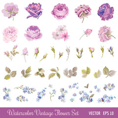 Wall Mural - Vintage Flower Set - Watercolor Style - in vector