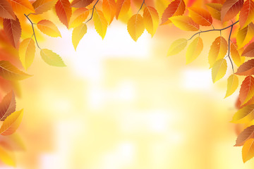 Wall Mural - autumn leaves frame background, vector illustration