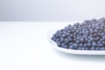 bilberry