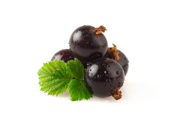 Sticker - Black currant on a white