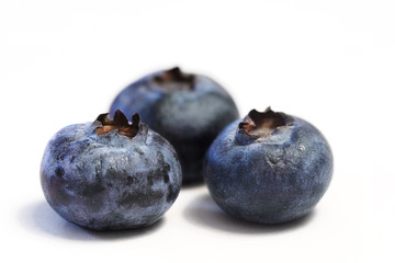blueberry trio macro