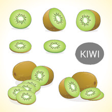 Set Of Kiwi Fruit In Various Styles Vector Format