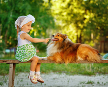 Little Girl And Dog Sitting On A Bench.