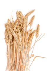 Wall Mural - Sheaf of wheat ears on a light background