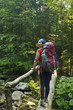 © sanechka - Hiker on the footbridge