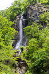 Wall Mural - Waterfall in the summer mountains