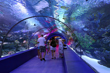 People Enjoy The Underwater View Of The Aquarium Antalya. The Aquarium Is The Longest In The World Panoramic Tunnel With A Length Of 131 Meters