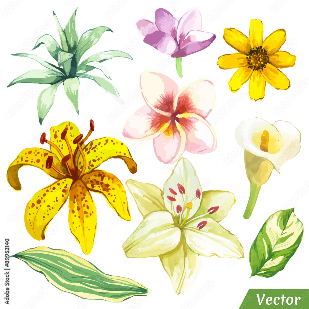 Vector illustration with watercolor flowers. Stock Vector | Adobe Stock