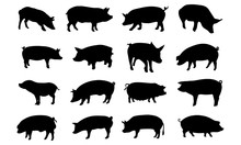 Pig Silhouette, Set Vector Animals Icons