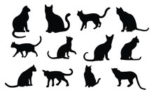 Cat Silhouette, Set Vector Animals Icons