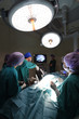 © nimon_t - group of veterinarian doctor in operation room for laparoscopic surgical
