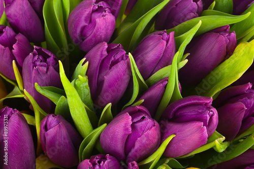 Fototapeta na szkło Nature bouquet from purple tulips for use as background.