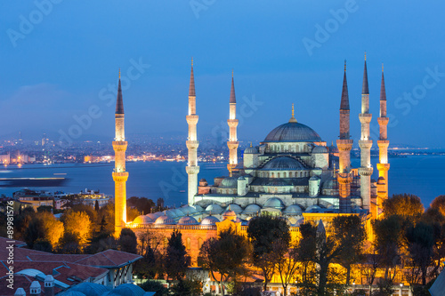 Aerial view of Blue Mosque in Istanbul at night Poster