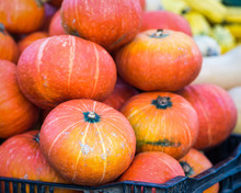 A Bin Filled With Red Kuri Squash At A Fall Farmer's Market In San Francisco. Butternut And Delicate In The Background.