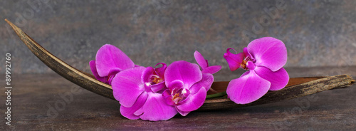 Obraz w ramie Orchideenblüten