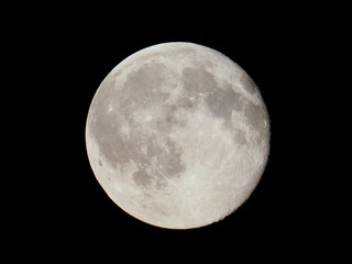 Wall Mural - full moon