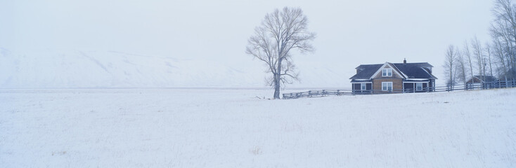 Wall Mural - The Miller House, National Elk Refuge, Jackson, Wyoming