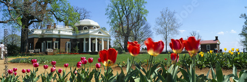 Fotografie, Obraz Tulips and Monticello in spring, Virginia