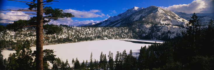 Wall Mural - This is Mount Sneffels in the San Juan Mountains. It is near the Dallas Divide. It shows aspens after a winter snow storm.