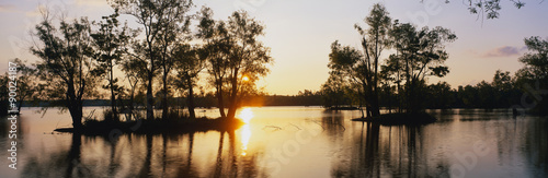 Fotomural Este es el refugio de vida silvestre en el parque Lago Fausse Pointe State al atardecer
