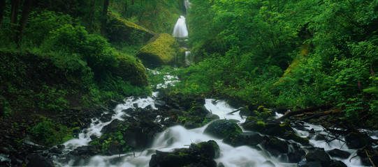 Wall Mural - This is the Wahkeena Falls at the Columbia River Gorge. The falls are flowing over the rocks beneath it.