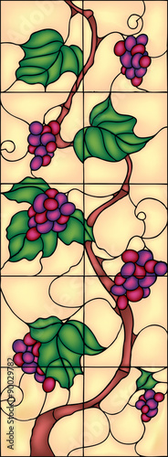 Fototapeta na wymiar Beautiful grape with leaves, decor idea, vector illustration in stained glass style