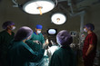 © nimon_t - group of veterinarian doctor in operation room for laparoscopic surgical