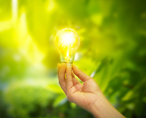 Wall Mural - hand holding a light bulb with energy on fresh green natural background