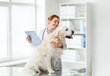 © Syda Productions - happy doctor with retriever dog at vet clinic
